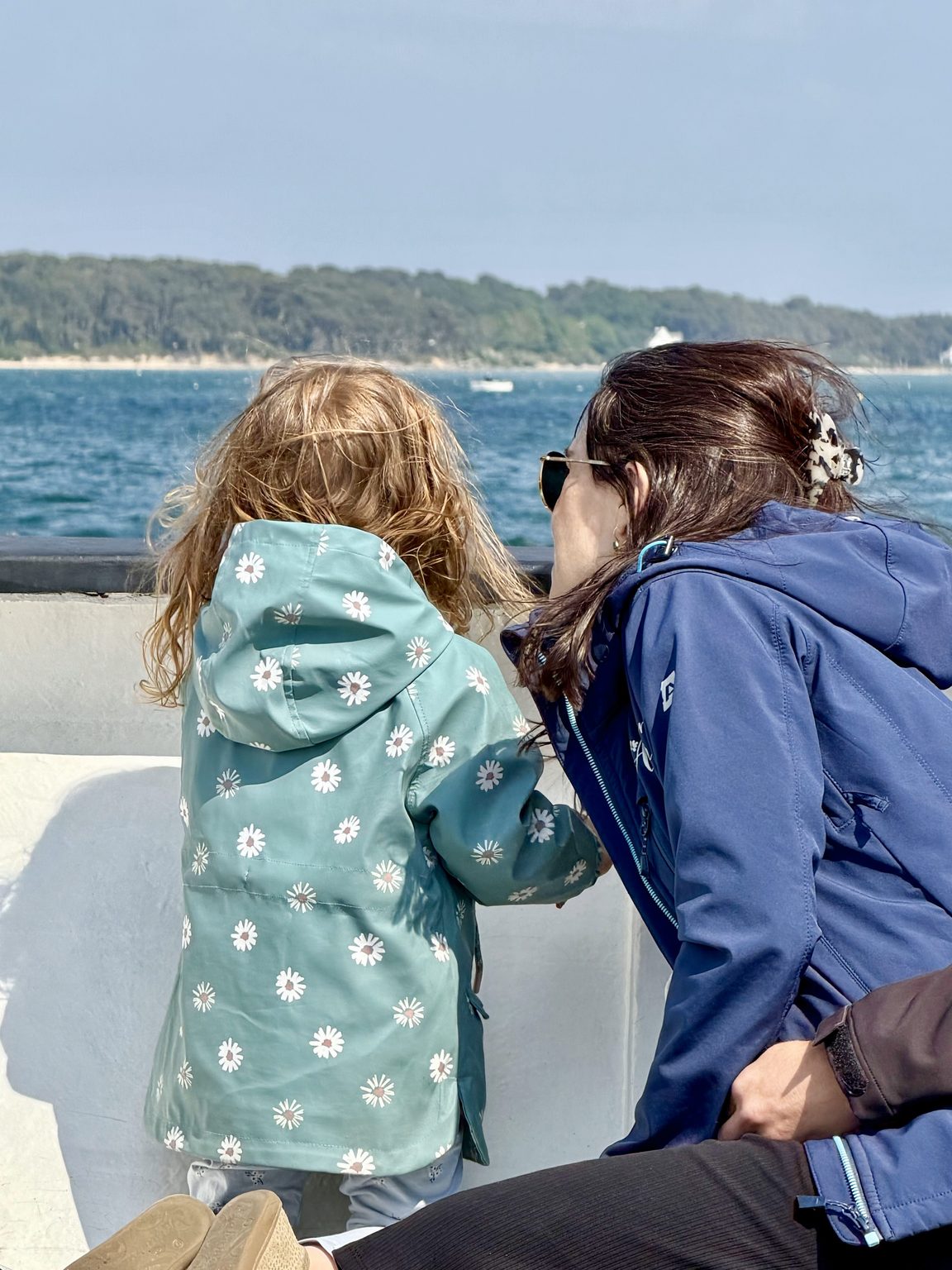 Accueil – Vedettes du Golfe